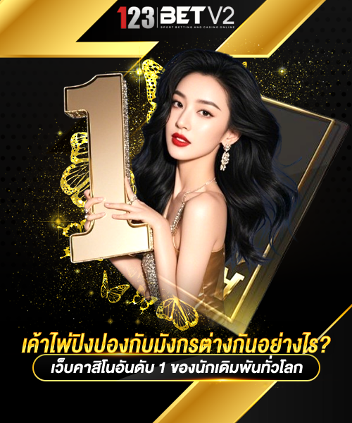 เค้าไพ่ปิงปองกับมังกรต่างกันอย่างไร
